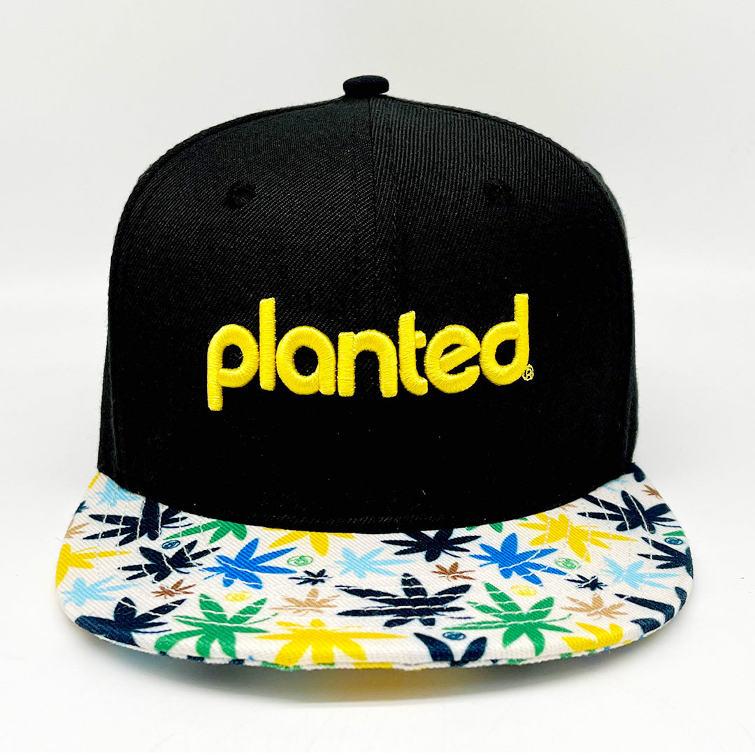 The Chronic - 6 Panel Snapback hat